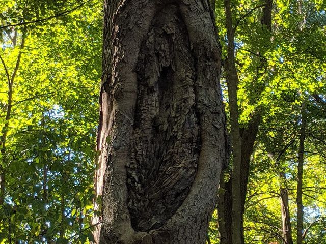 Photo of Miami University-Middletown