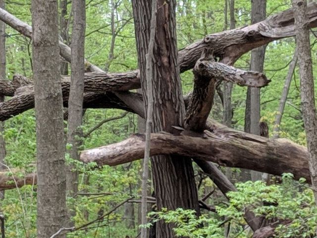 Photo of Miami University-Middletown