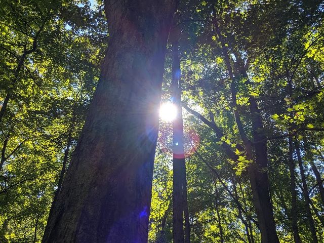 Photo of Miami University-Middletown