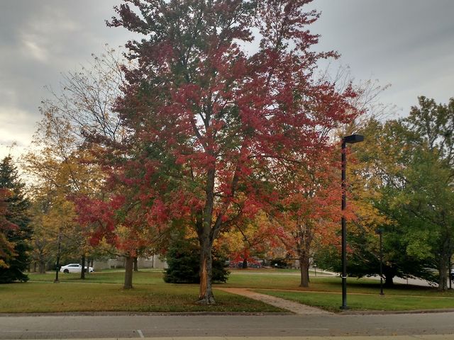 Photo of Miami University-Oxford