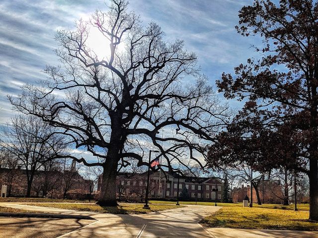 Photo of Miami University-Oxford