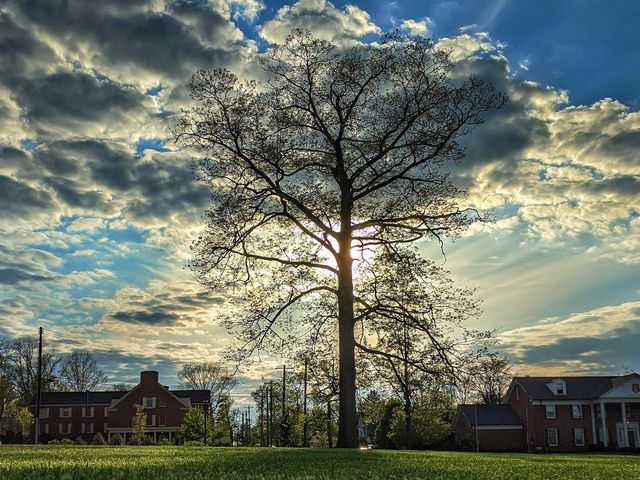 Photo of Miami University-Oxford