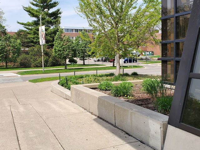 Photo of Michigan State University-College of Law