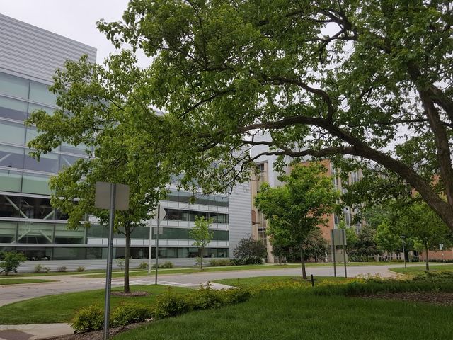 Photo of Michigan State University-College of Law