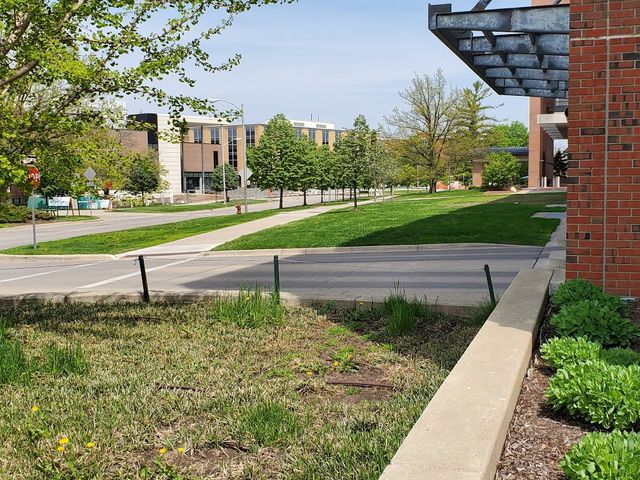 Photo of Michigan State University-College of Law