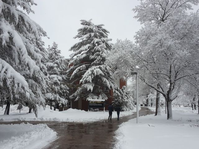 Photo of Michigan Technological University
