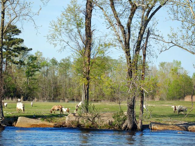 Photo of Mid-Atlantic Christian University