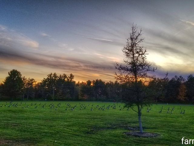 Photo of Mid-State Technical College