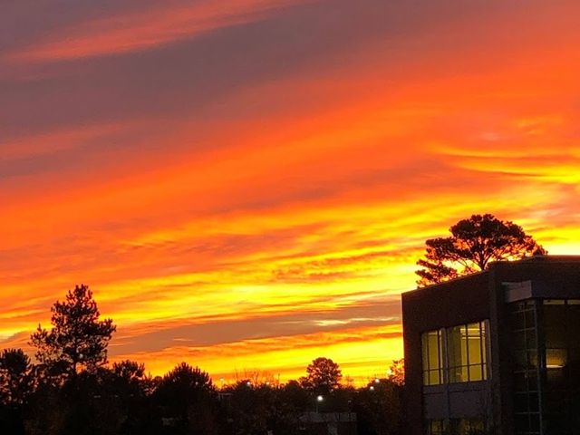 Photo of Middle Georgia State University