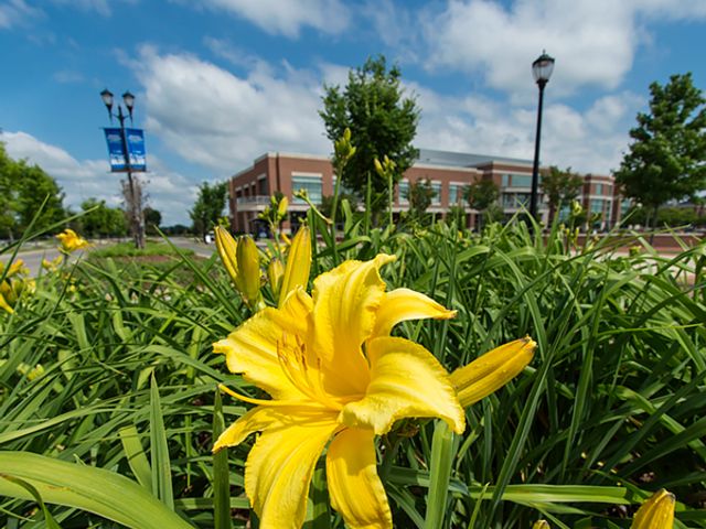 Photo of Middle Tennessee State University