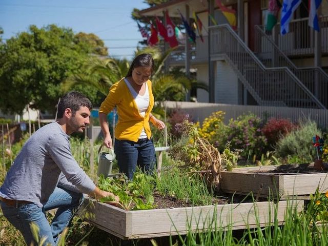 Photo of Middlebury Institute of International Studies at Monterey