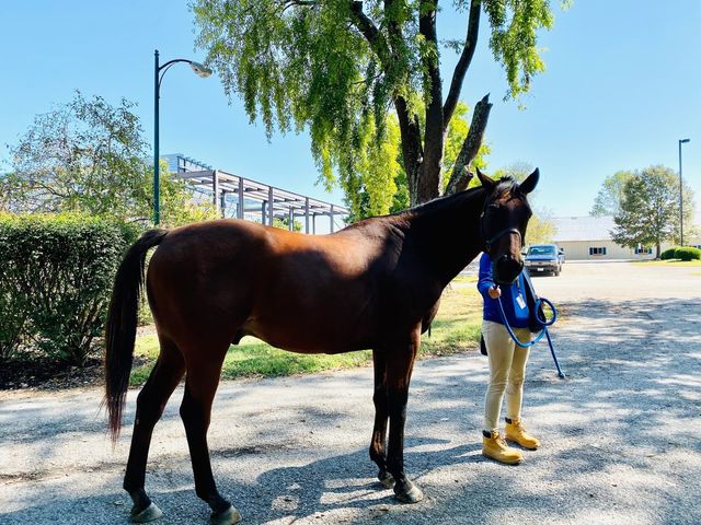 Photo of Midway University