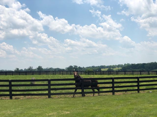 Photo of Midway University