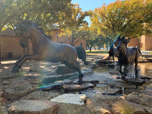 Photo of Midwestern State University