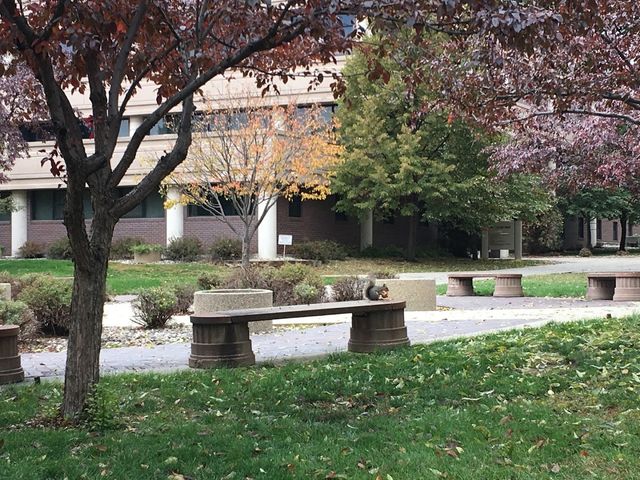 Photo of Minot State University