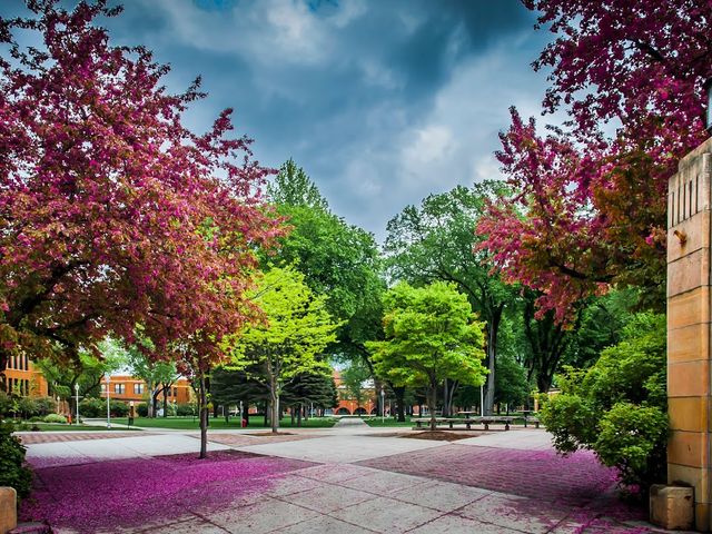 Photo of Minnesota State University Moorhead