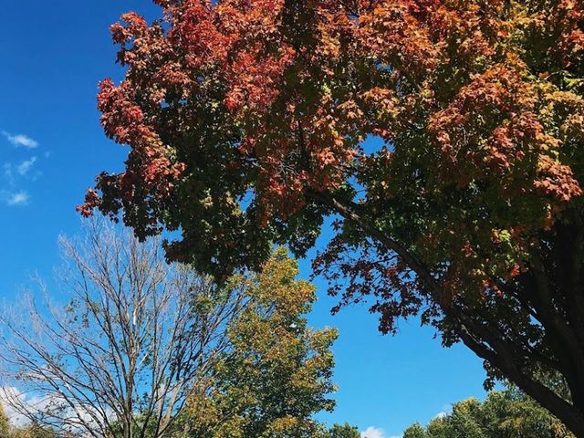 Photo of Minnesota State University-Mankato