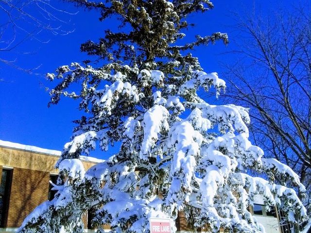 Photo of Minnesota State University-Mankato