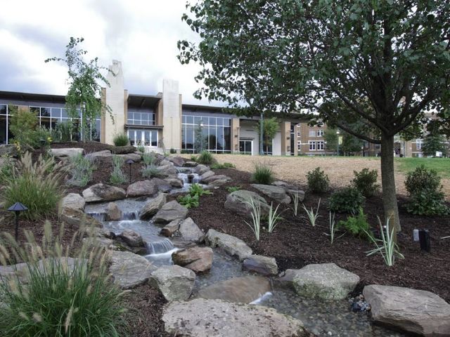 Photo of Misericordia University