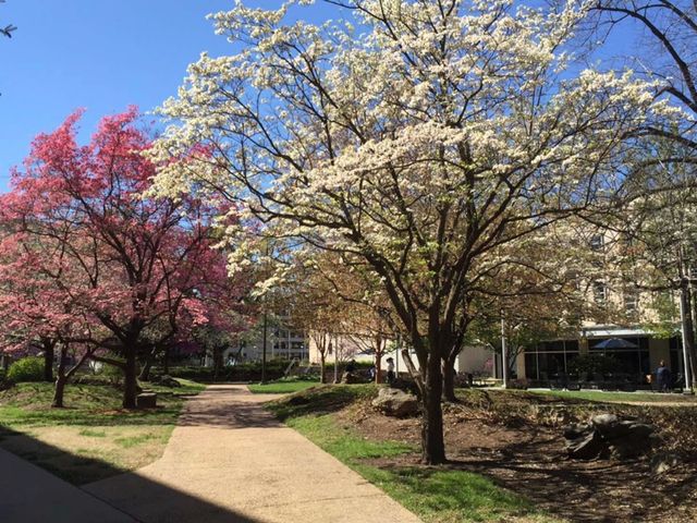 Photo of Missouri State University-Springfield