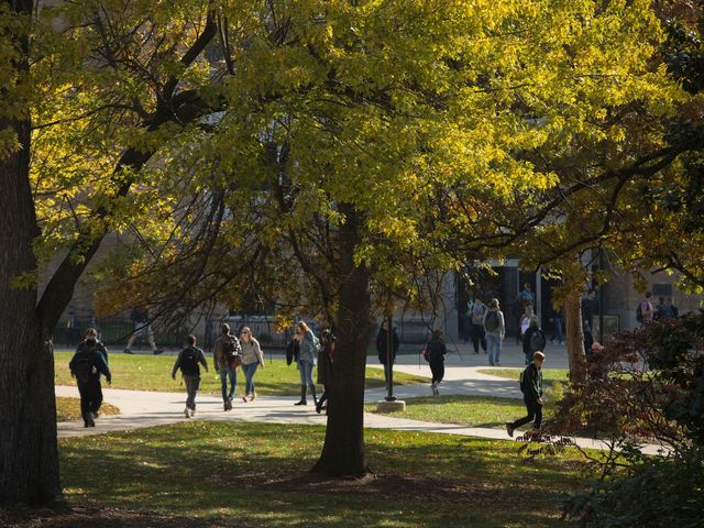 Photo of Missouri University of Science and Technology