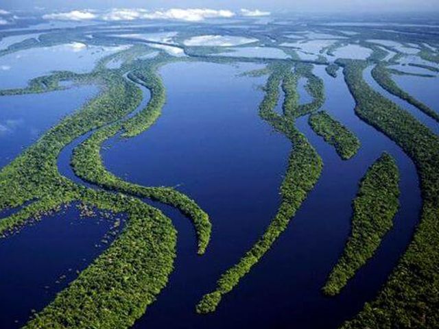 Photo of Mississippi State University