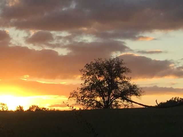 Photo of Mississippi State University