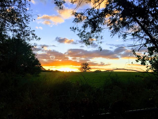 Photo of Mississippi State University