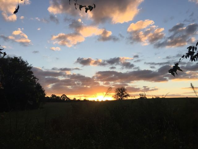 Photo of Mississippi State University