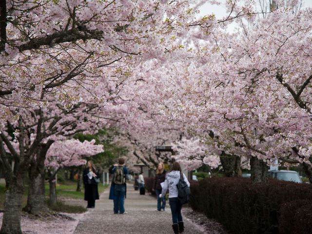 Photo of Mt Hood Community College