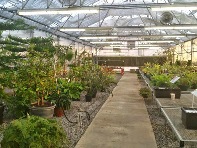 Photo of Murray State University