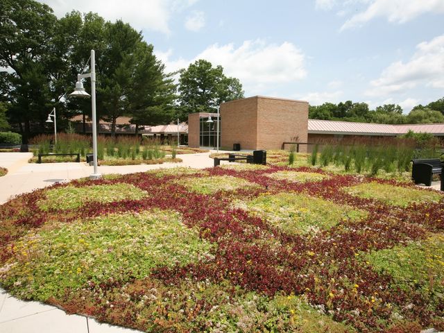 Photo of Muskegon Community College