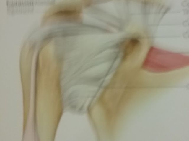 Photo of My Le's Beauty College