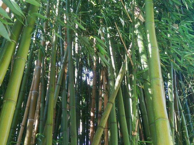 Photo of Notre Dame de Namur University