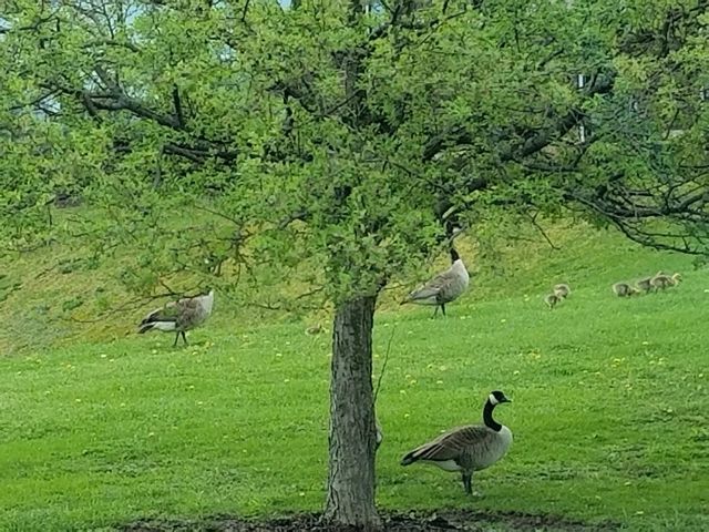 Photo of Notre Dame de Namur University