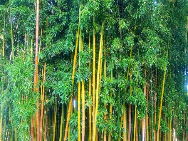 Photo of Notre Dame de Namur University