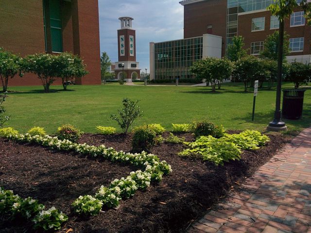 Photo of Norfolk State University