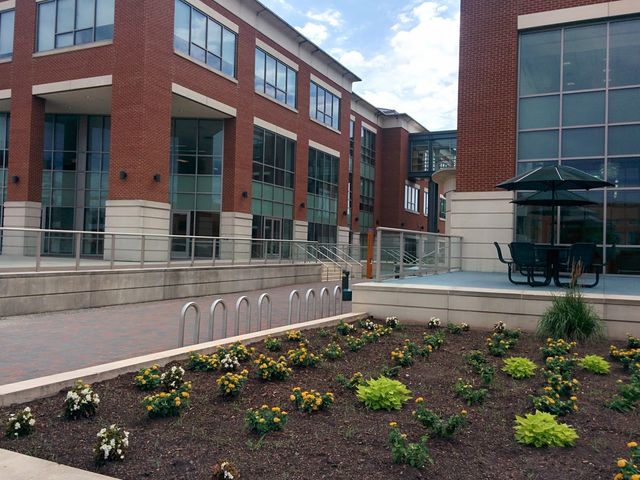 Photo of Norfolk State University