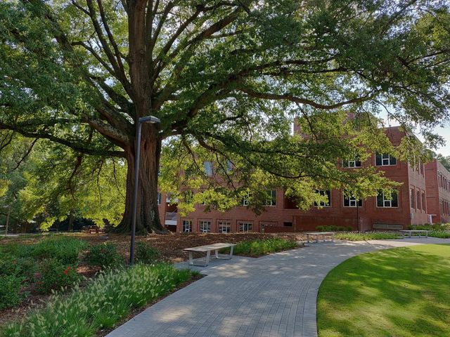 Photo of North Carolina State University at Raleigh