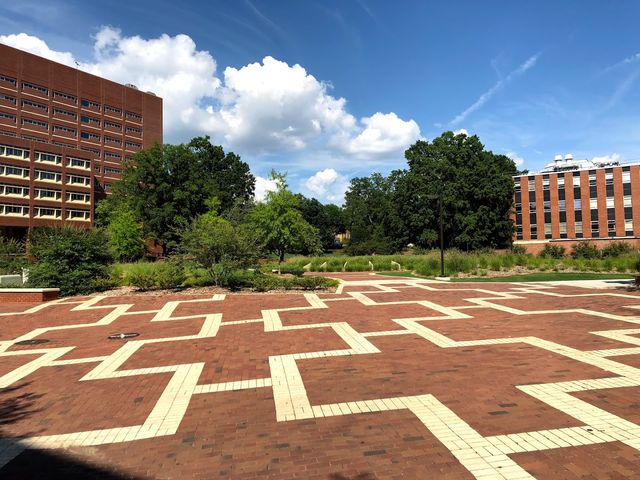 Photo of North Carolina State University at Raleigh