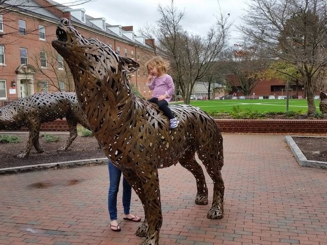 Photo of North Carolina State University at Raleigh