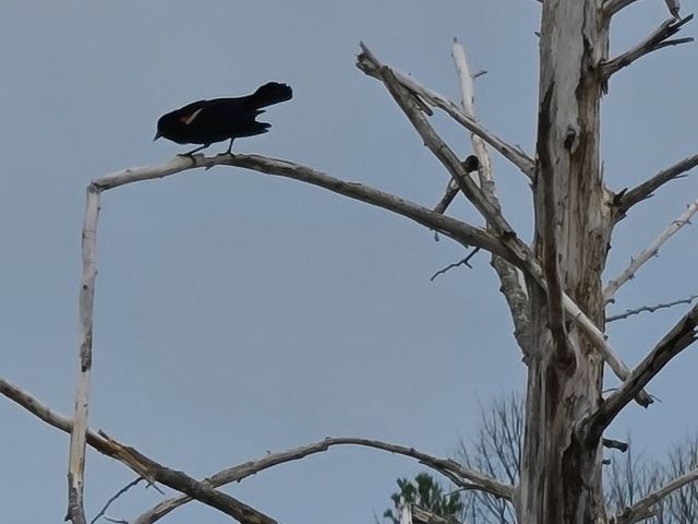 Photo of North Central Michigan College