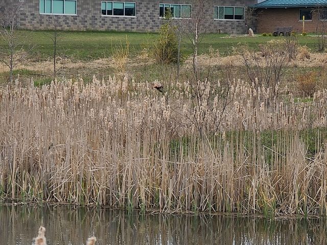 Photo of North Central Michigan College