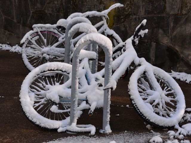 Photo of North Central State College