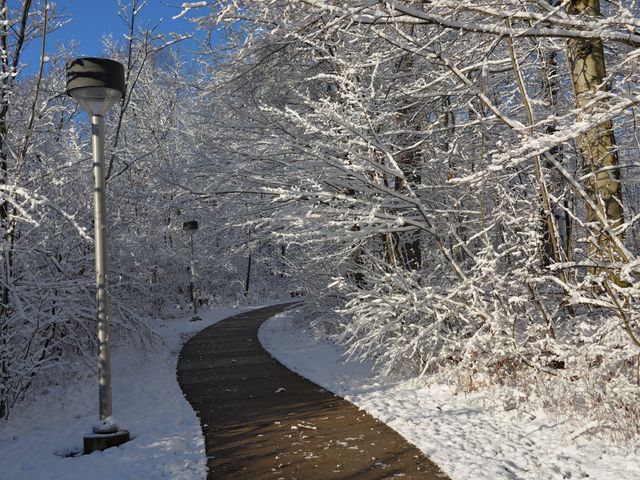 Photo of North Central State College