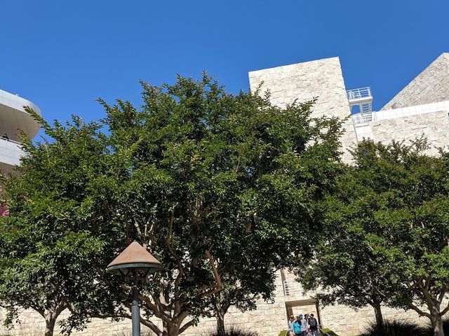 Photo of North Seattle College