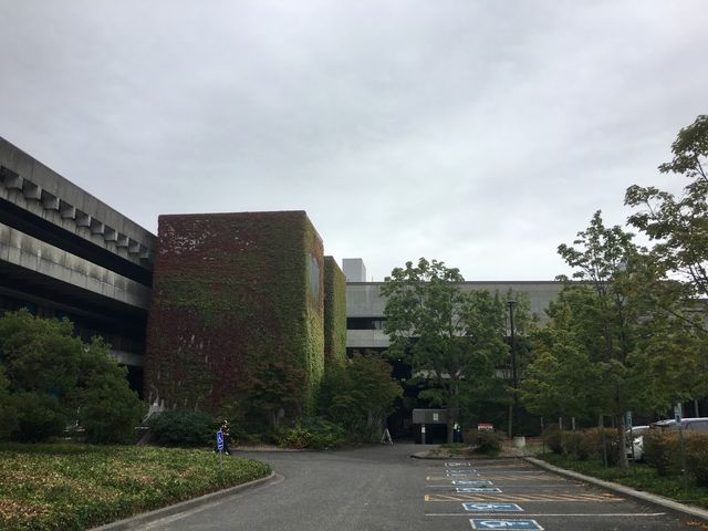 Photo of North Seattle College