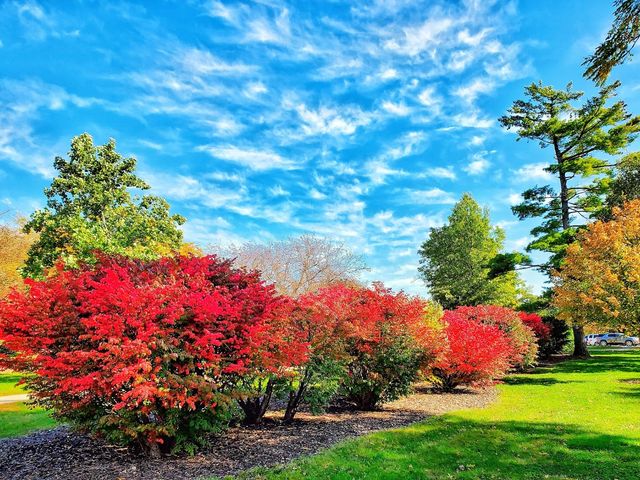 Photo of Northwest Missouri State University