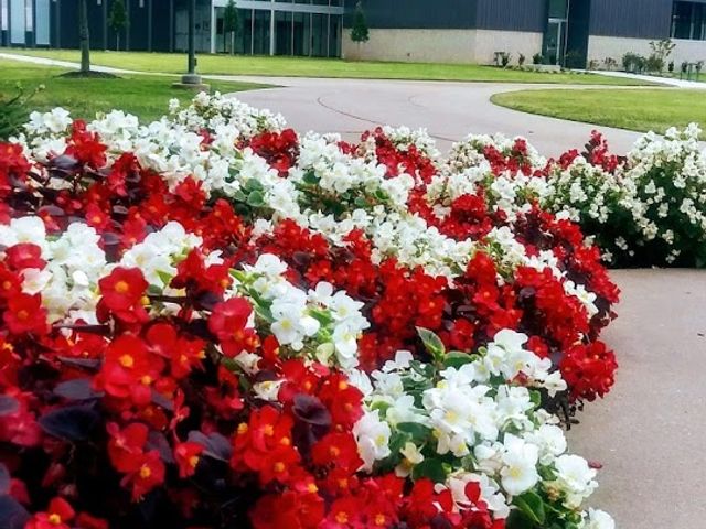 Photo of NorthWest Arkansas Community College