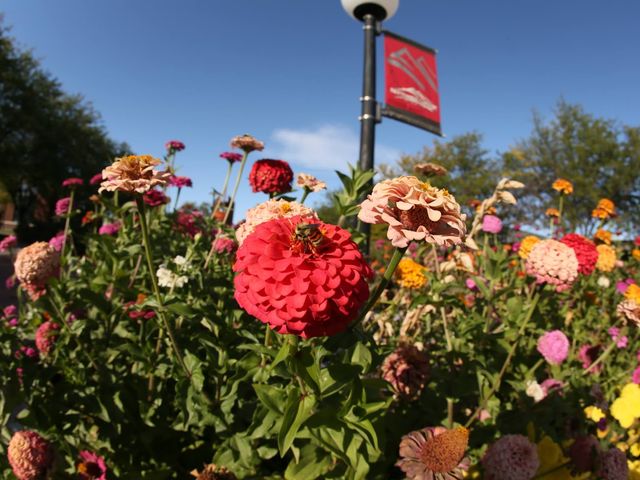 Photo of Northwest College